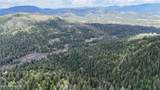 1546 Pup Paw Trl - Photo 49