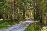 50 Goat Trail - Photo 50