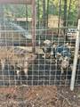 13757 Idaho Rd - Photo 31