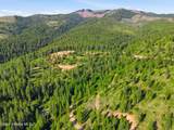 NNA Stone Rd Lot 2 (20.0 Acres) - Photo 16