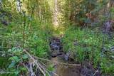NNA Stone Rd Lot 2 (20.0 Acres) - Photo 2