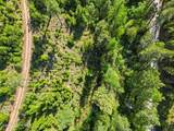 NNA Stone Rd Lot 2 (20.0 Acres) - Photo 20