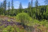 NNA Stone Rd Lot 2 (20.0 Acres) - Photo 22