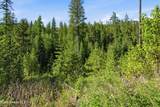 NNA Stone Rd Lot 2 (20.0 Acres) - Photo 24