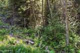NNA Stone Rd Lot 2 (20.0 Acres) - Photo 26