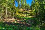 NNA Stone Rd Lot 2 (20.0 Acres) - Photo 7