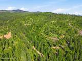 NNA Stone Rd Lot 2 (20.0 Acres) - Photo 8