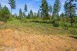 NNA Stone Rd Lot 5 (20.0 Acres) - Photo 19