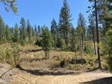 NNA Stone Rd Lot 5 (20.0 Acres) - Photo 3