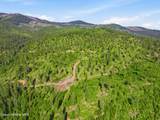 NNA Stone Rd Lot 5 (20.0 Acres) - Photo 7