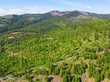 NNA Stone Rd Lot 5 (20.0 Acres) - Photo 9