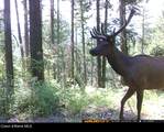 8694 Meadow Creek Rd - Photo 15