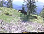 8694 Meadow Creek Rd - Photo 4