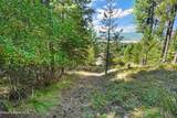 273 Paradise Valley Rd - Photo 38