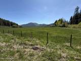 12948 Highway 3 - Photo 43