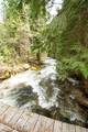 2884 Morris Rd - Photo 46