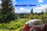 45 Rascals Rd - Photo 41