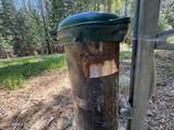 45 Rascals Rd - Photo 45
