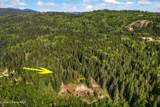 45 Rascals Rd - Photo 46