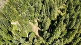 1710 Tower Mountain Rd - Photo 24