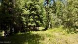 1710 Tower Mountain Rd - Photo 27