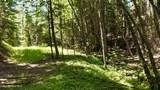 1710 Tower Mountain Rd - Photo 28
