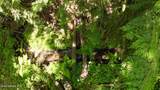 1710 Tower Mountain Rd - Photo 3
