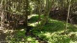 1710 Tower Mountain Rd - Photo 30