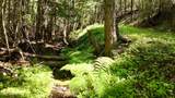 1710 Tower Mountain Rd - Photo 31