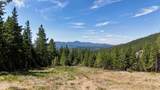 1710 Tower Mountain Rd - Photo 44