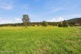NKA Quail Ln - Photo 20
