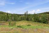 120 Blazing Saddle Ct - Photo 10