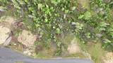 120 Blazing Saddle Ct - Photo 14