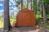 23216 Teddy Loop - Photo 47