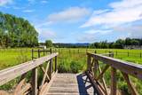 1255 Hickey Rd - Photo 19