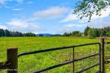1255 Hickey Rd - Photo 53