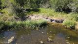 3216 Dufort Rd - Photo 13