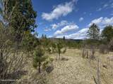 3216 Dufort Rd - Photo 75