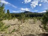3216 Dufort Rd - Photo 79