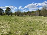 3216 Dufort Rd - Photo 81