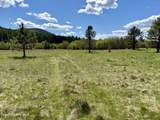 3216 Dufort Rd - Photo 82