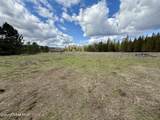 3216 Dufort Rd - Photo 86