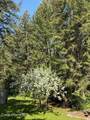 1639 Hillsdale Rd - Photo 65