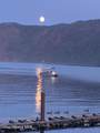 34129 Scenic Bay Dock A - Photo 62