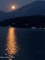 34129 Scenic Bay Dock A - Photo 63