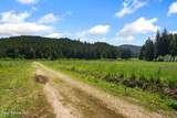 2502 Greenhood Rd - Photo 36
