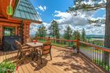 17442 Painted Rose Rd - Photo 47