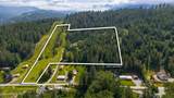 357 Hunt Gulch Rd - Photo 3