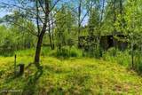 132 Lower Manley Creek Rd - Photo 48