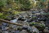 6684 Upper Pack River Rd - Photo 29